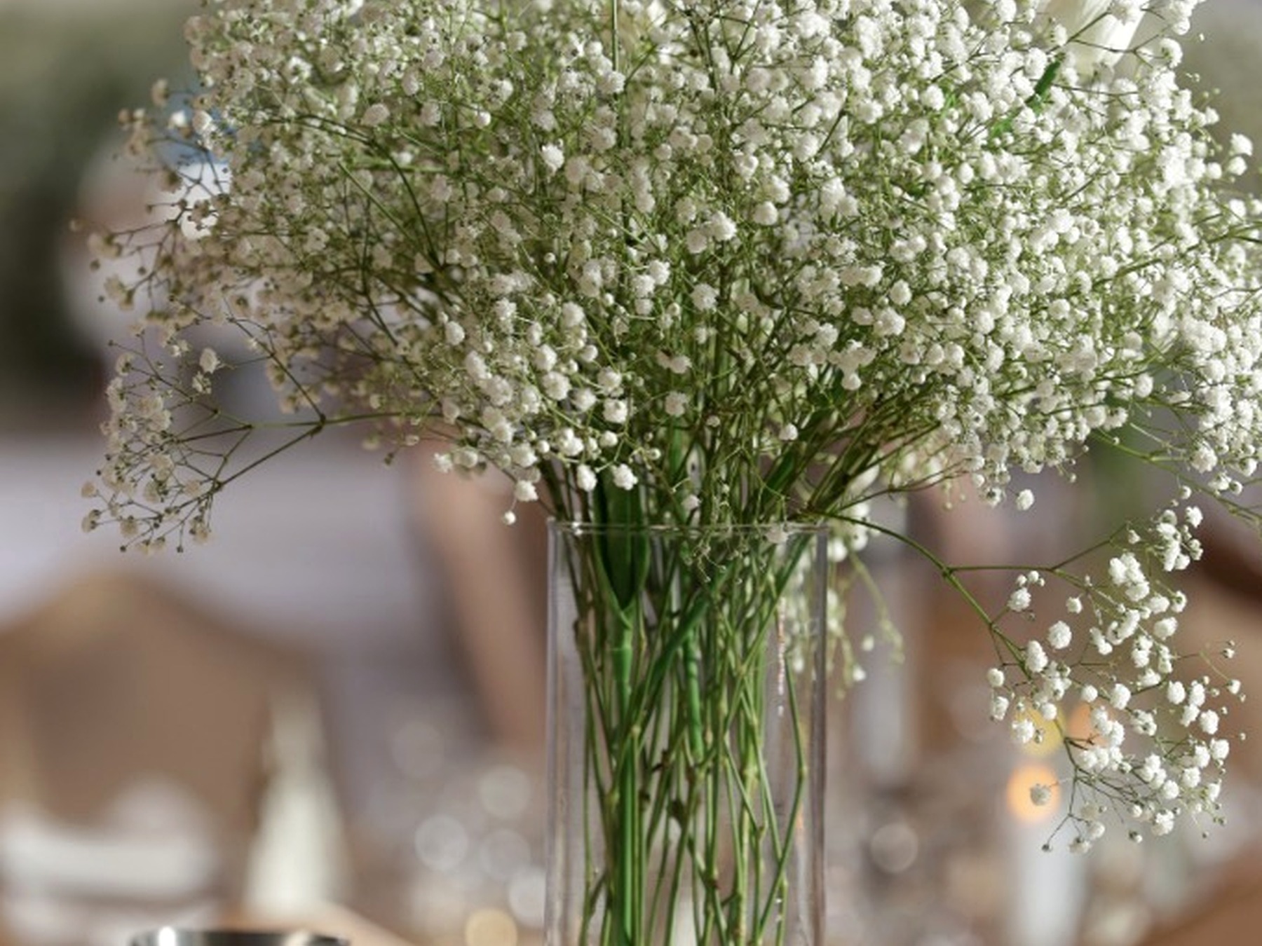 Baby's-breath floral detail